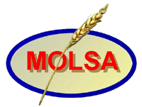 Logo Molsa